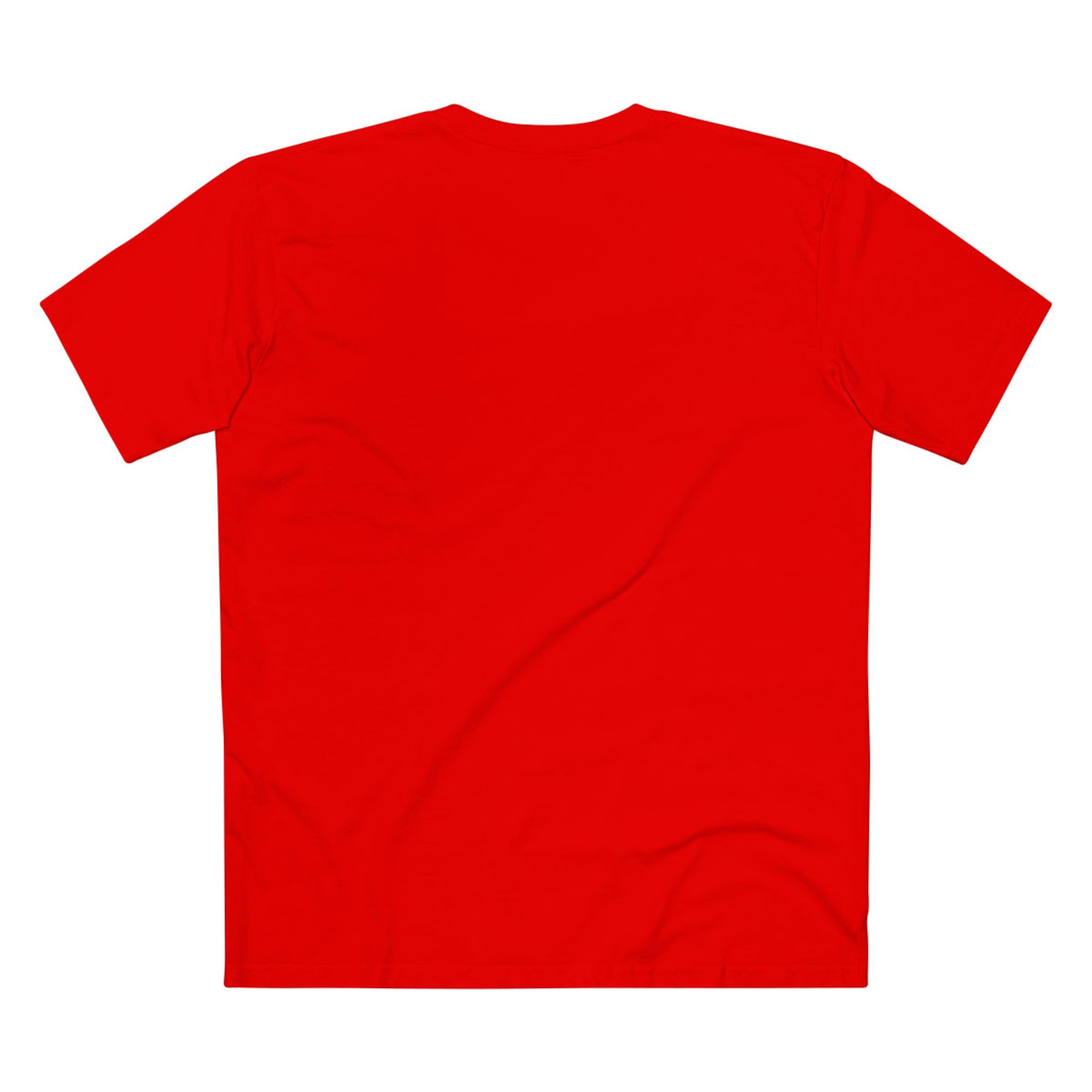 Real Men Pray Faith-Based Christian T-Shirt