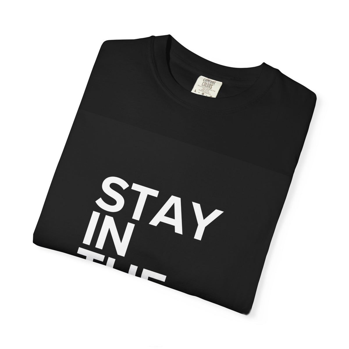 Christian T-Shirt — "Stay in the Know" & "Got Wisdom?" Inspirational Faith Tee
